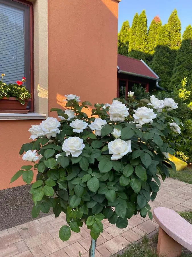 Apartament Apartman Dóra Hajdúszoboszló Węgry